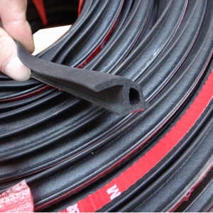 Automotive Door Strip